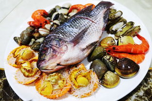 它顛覆了梧州人吃海鮮的印象 這家開在市中心的 水產(chǎn)寶殿 ,把長樂海域直接 搬進(jìn) 來了 現(xiàn)在竟然還能...